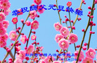 ֹ,ɶ󷨵ӹףʦ(18)