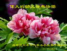 法轮功,成都大法弟子恭祝师尊新年好(18条)