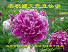 ֹ,ɶ󷨵ӹףʦ(18)