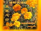 ֹ,ϴ󷨵ӹףʦ(26)