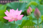 ֹ,󷨵ӹףʦ(21)