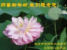 ֹ,󷨵ӹףʦ(21)