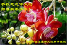 ֹ,ʡ󷨵ӹףʦ(20)