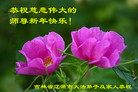 ֹ,ʡ󷨵ӹףʦ(20)