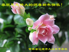 ֹ,ʡ󷨵ӹףʦ(20)