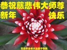 ֹ,ൺ󷨵ӹףʦ(22)