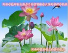 ֹ,ʯׯ󷨵ӹףʦ(22)