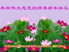 ֹ,Ĵ󷨵ӹףʦ(16)