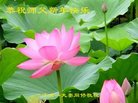 ֹ,ϴ󷨵ӹףʦ(25)