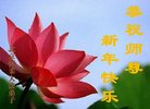 ֹ,󷨵ӹףʦ(20)