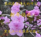 ֹ,󷨵ӹףʦ(26)
