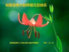 ֹ,ʡ󷨵ӹףʦ(22)