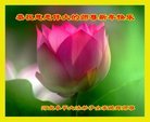 ֹ,ӱ󷨵ӹףʦ(19)