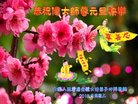 法轮功,大连大法弟子恭祝师尊新年好(21条)