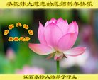 ֹ,󷨵ӹףʦ(20)