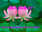 ֹ,󷨵ӹףʦ(20)