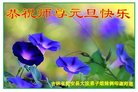 ֹ,ʡ󷨵ӹףʦ(22)