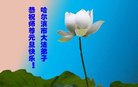 ֹ,󷨵ӹףʦ(20)