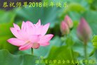 ֹ,󷨵ӹףʦ(18)