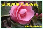 ֹ,󷨵ӹףʦ(23)