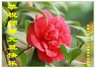 ֹ,󷨵ӹףʦ(23)