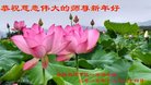 ֹ,ϴ󷨵ӹףʦ(25)