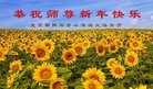ֹ,󷨵ӹףʦ(23)