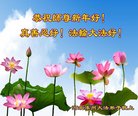 ֹ,󷨵ӹףʦ(22)