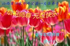 法轮功,山西大法弟子恭祝师尊新年好(24条)