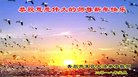 ֹ,ൺ󷨵ӹףʦ(22)