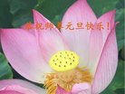 ֹ,󷨵ӹףʦ(20)