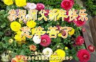ֹ,󷨵ӹףʦ(23)