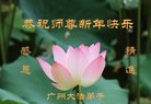 法轮功,广州大法弟子恭祝师尊新年好(22条)