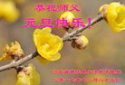 ֹ,ӱ󷨵ӹףʦ(19)