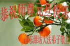 ֹ,Ϋ󷨵ӹףʦ(28)