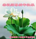 ֹ,ӱ󷨵ӹףʦ(20)