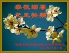 法轮功,成都大法弟子恭祝师尊新年好(20条)