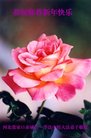 ֹ,żҿڴ󷨵ӹףʦ(22)