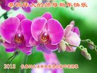 ֹ,󷨵ӹףʦ(22)