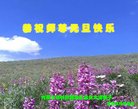 ֹ,ɹŴ󷨵ӹףʦ(20)