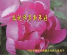 ֹ,󷨵ӹףʦ(22)