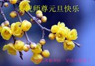 法轮功,石家庄大法弟子恭祝师尊新年好(22条)