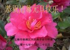 ֹ,Ϻ󷨵ӹףʦ(23)