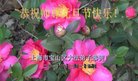 ֹ,Ϻ󷨵ӹףʦ(23)