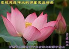 ֹ,󷨵ӹףʦ(21)