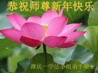 ֹ,Ϋ󷨵ӹףʦ(28)