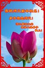 ֹ,ȷ󷨵ӹףʦ(24)