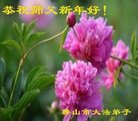 ֹ,󷨵ӹףʦ(20)
