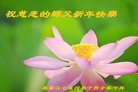 ֹ,󷨵ӹףʦ(25)