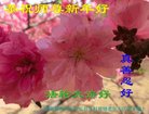 ֹ,󷨵ӹףʦ(26)
